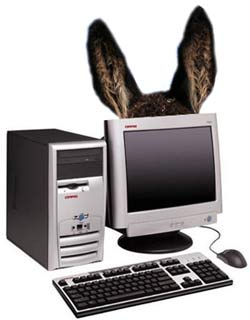 O computador é burro, porém, obediente!